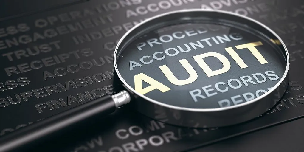 audit & accounts